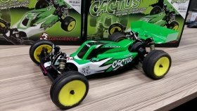 3RACING CACTUS Buggy Profession(MID Motor) - KIT-CACTUSPRO