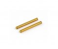 ROCHE 330107 P12 Kingpin, Titanium Coated, 2 pcs S30138