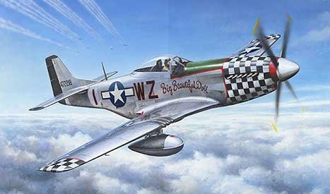 Tamiya 60773 - P-51D Mustang 8th AF Aces