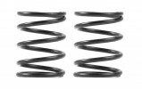 XRAY 338082 3S Spring-Set C=4.0 (2)